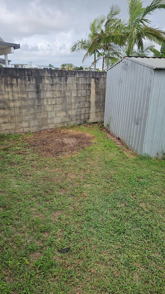 Body Corporate – yard cleared after brick and waste removal