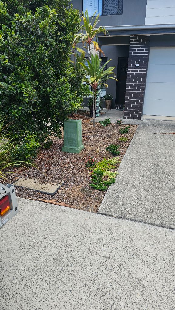 Overgrown garden beds – before green waste removal